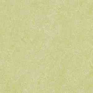 Линолеум Marmoleum Marbled Real 3881-388135 green wellness фото ##numphoto## | FLOORDEALER